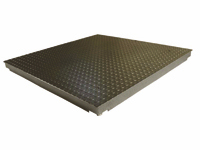Salter Platform Scale 3000kg x 1.0g