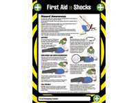 First Aid Poster - Shocks