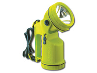 LED swivel headed lantern